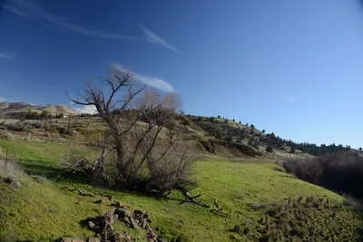 DSC_1073 (Large).JPG